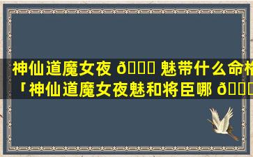 神仙道魔女夜 🐞 魅带什么命格「神仙道魔女夜魅和将臣哪 🐟 个好」